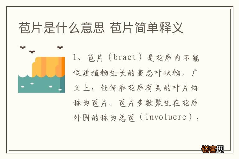 苞片是什么意思 苞片简单释义