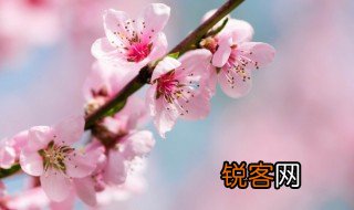 形容四月的诗句唯美 古代有哪些优美诗句描写四月