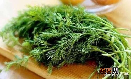 茴香怎样做比较好吃？