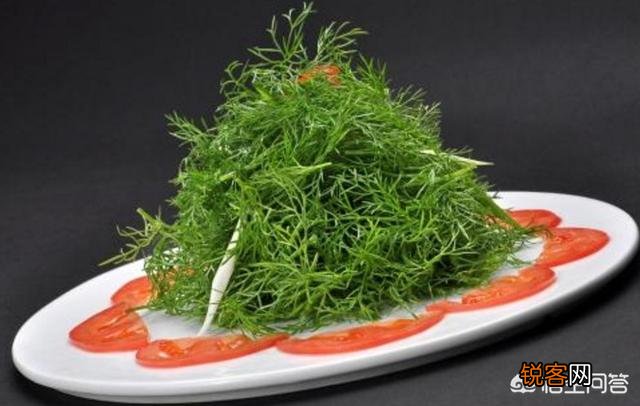 茴香怎样做比较好吃？