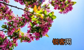 描写颜色的诗句 关于颜色的诗句
