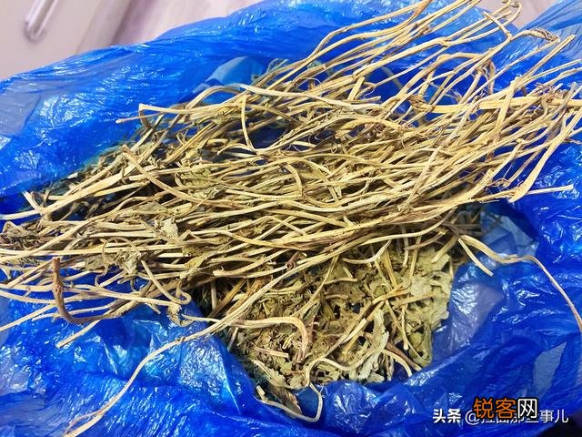 这是什么香料？在卤料包中怎么用？