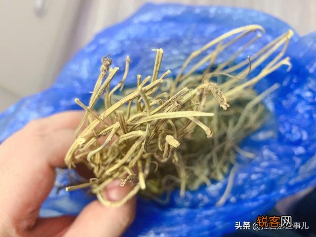 这是什么香料？在卤料包中怎么用？