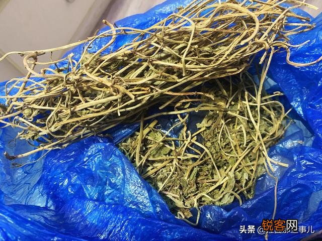 这是什么香料？在卤料包中怎么用？