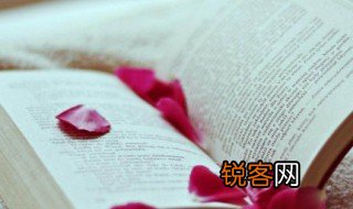 春的诗句 赞美春天的诗句