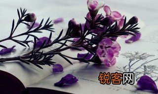 春江水暖鸭先知的上一句是什么 春江水暖鸭先知的上一句解释