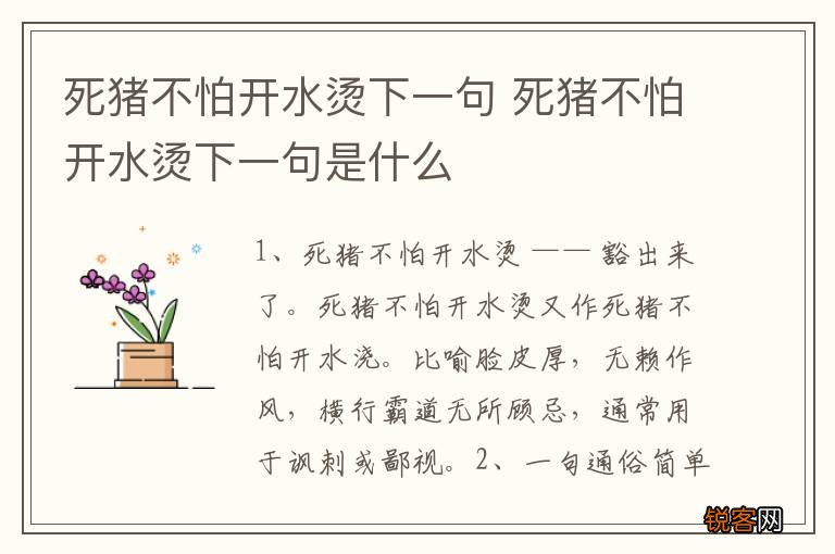 死猪不怕开水烫下一句 死猪不怕开水烫下一句是什么