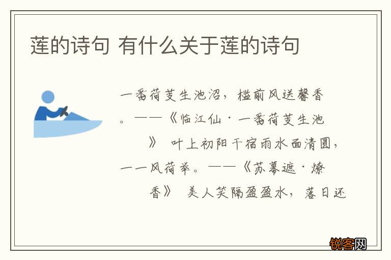 莲的诗句 有什么关于莲的诗句
