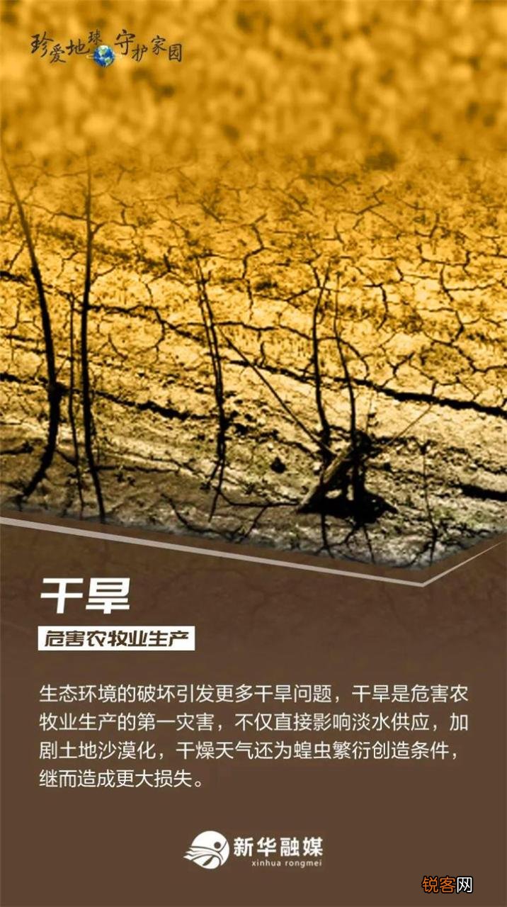 盘点世界地球日主题内容 世界地球日是啥时候