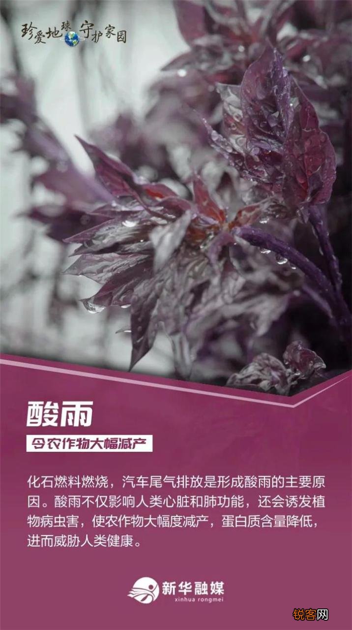 盘点世界地球日主题内容 世界地球日是啥时候