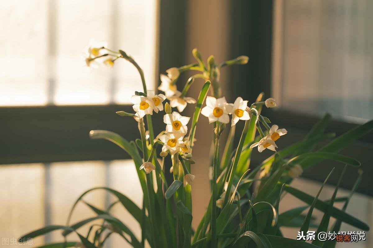 教您变废为宝的小妙招 牛奶过了保质期怎么利用