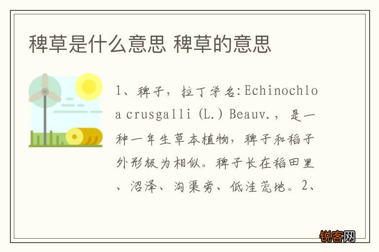 稗草是什么意思 稗草的意思