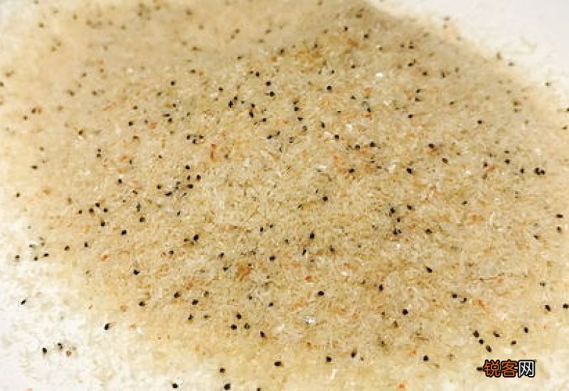 宝宝虾粉用什么虾做好 宝宝虾粉制作方法