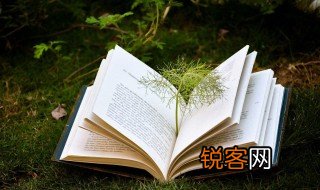 成长档案读书感悟怎么写 成长档案读书感悟写作方法