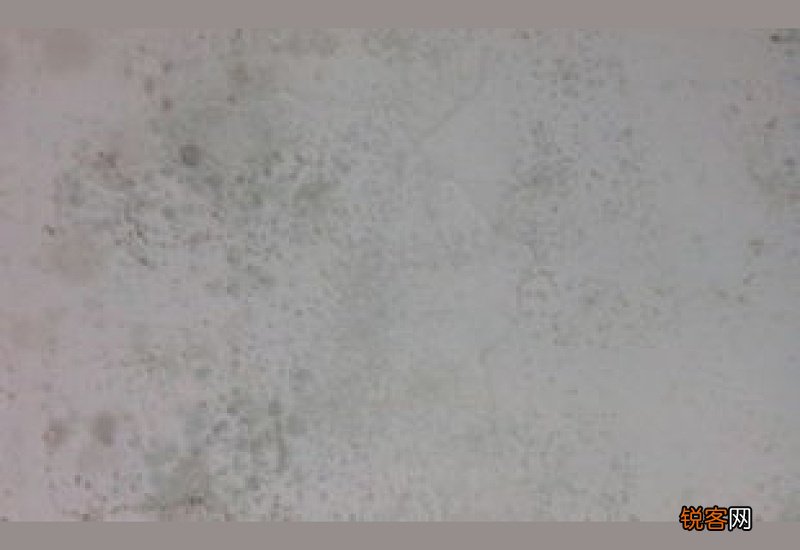 房间里发霉怎么处理