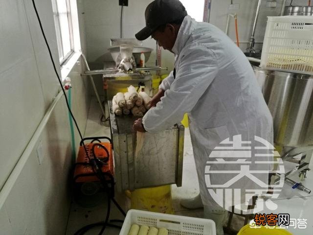 豆腐卷 素鸡是什么原料加工而成的？