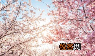 樱花的诗句唯美 樱花的诗句唯美有哪些