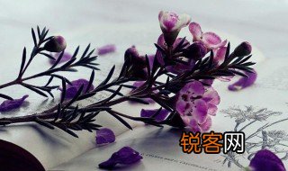 不但是什么意思 不但解释