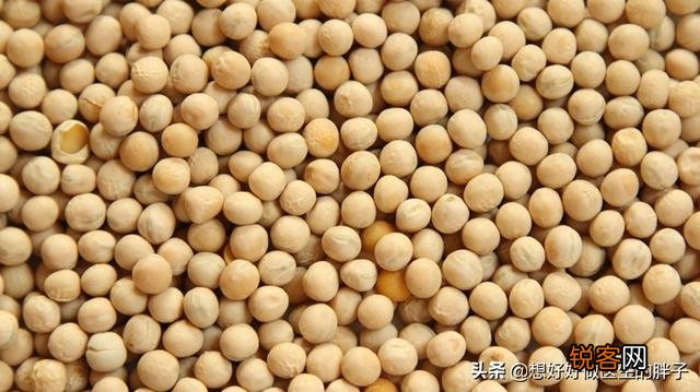 豆制品对尿酸的影响大吗？高尿酸血症能不能吃豆腐？