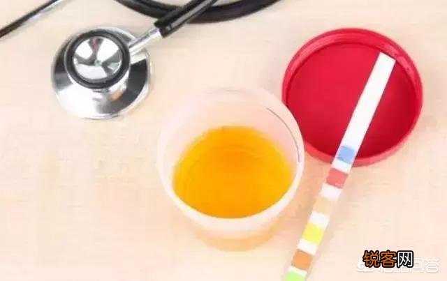 豆制品对尿酸的影响大吗？高尿酸血症能不能吃豆腐？