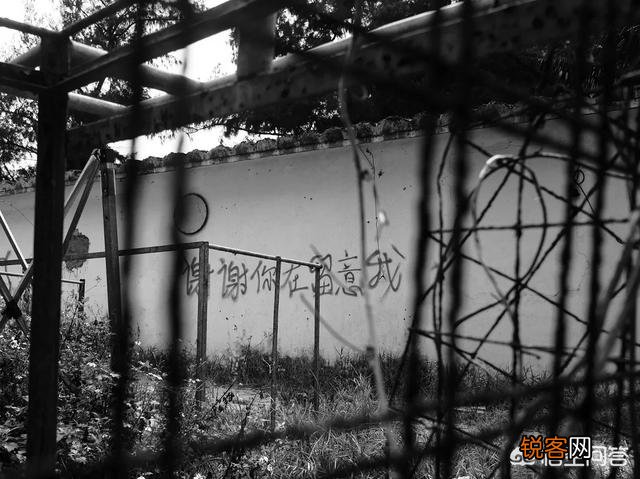 你认为目前性价比最高的全画幅单反相机是哪几款？都有什么优缺点？