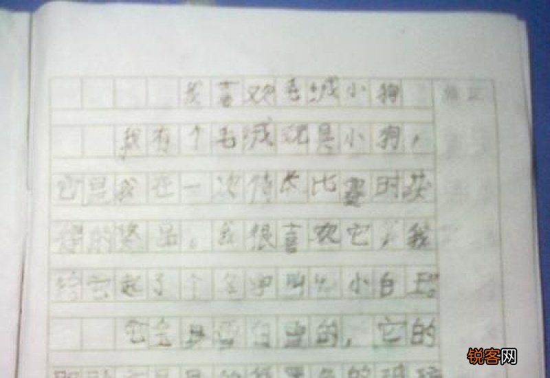 小年作文600字作文