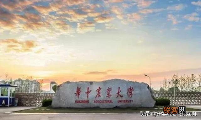 武汉的大学排名是怎样的？