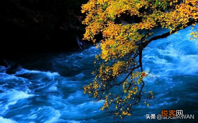 我想买个单反,请问1-2万元的单反哪个性价比高？