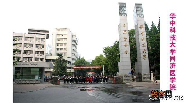你觉得中国医学类大学的排名情况是怎样的？