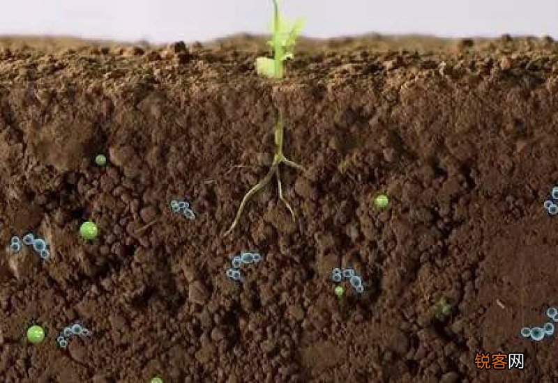 土壤怎么才能疏松