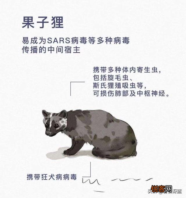 开直播是趋势,可我开直播不知道播什么怎么办？