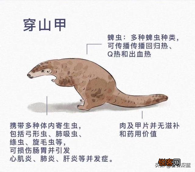 开直播是趋势,可我开直播不知道播什么怎么办？