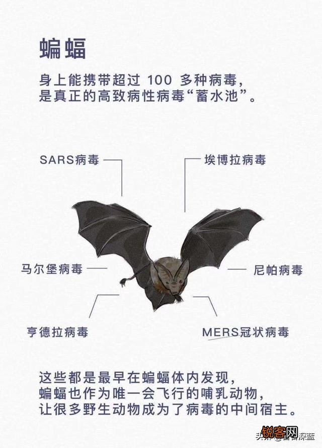 开直播是趋势,可我开直播不知道播什么怎么办？