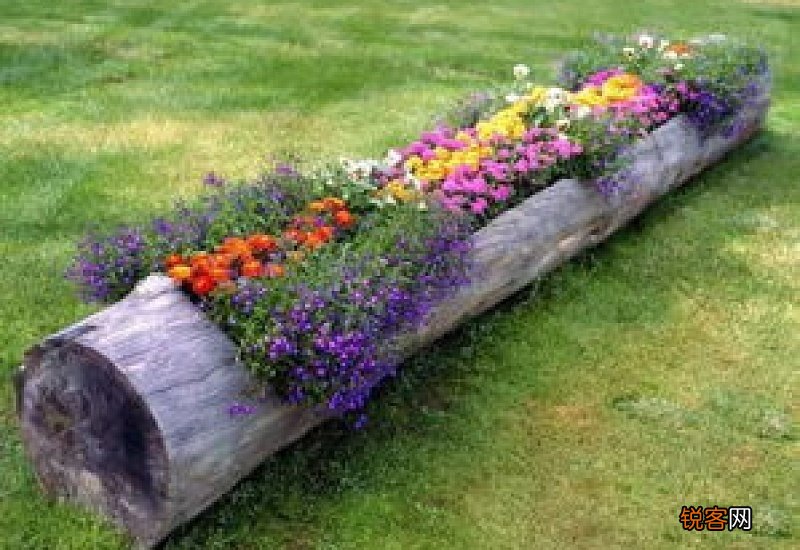 怎么把树干掏空做花盆