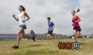奥林匹克运动会包括什么运动 奥林匹克运动会有哪些项目