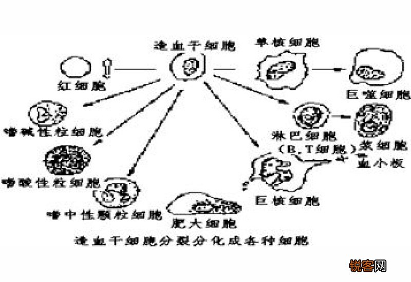 怎么使用手机远程控制电脑 用手机远程控制电脑