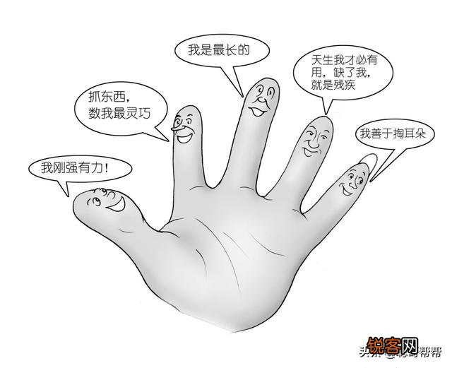 想做自媒体,不想真人出镜,文笔也不好,应该往哪个方向发展？