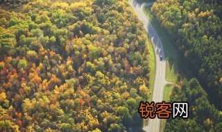 热带雨林的作用是什么 热带雨林有什么好处