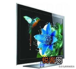 电视机什么牌子的质量最好？