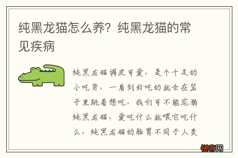 纯黑龙猫怎么养？纯黑龙猫的常见疾病