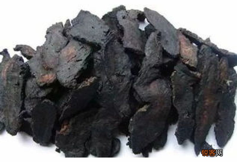 熟地王的作用与功效与作用 熟地王的作用与功效