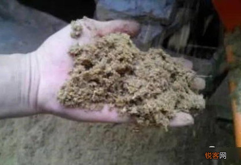兔粪能做花肥吗 兔粪可以直接做花肥吗