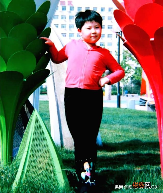 为什么尼康相机突然变香了？谁最值得买？