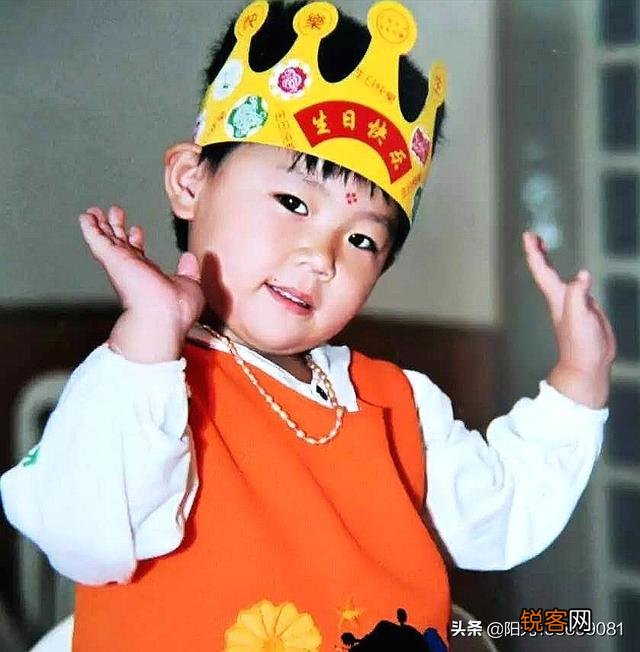 为什么尼康相机突然变香了？谁最值得买？