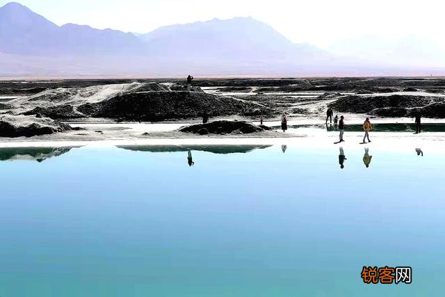 请问高人,新手想入手单反,尼康d610,尼康d7500,佳能850d,佳能90d哪一款更值得入手？