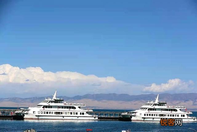 请问高人,新手想入手单反,尼康d610,尼康d7500,佳能850d,佳能90d哪一款更值得入手？