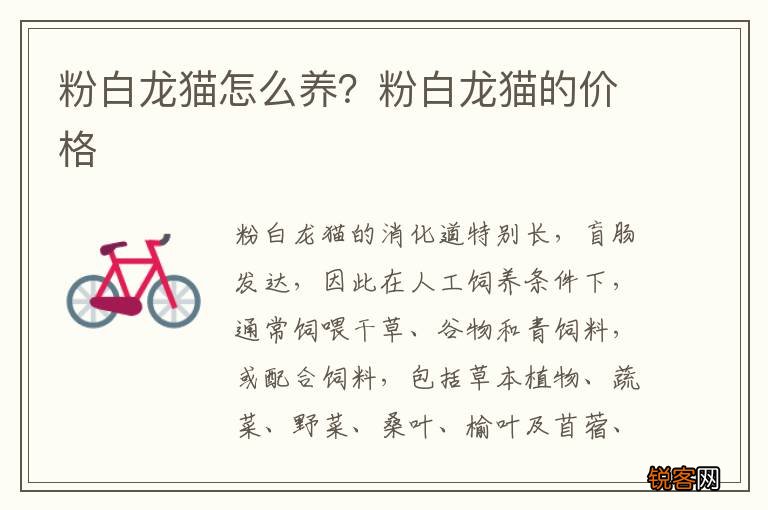 粉白龙猫怎么养？粉白龙猫的价格