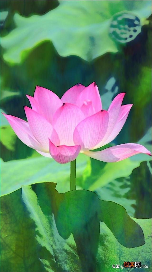 现在尼康的半画幅相机还有啥值得入手的？学生党小白一枚,预算在6000以内,喜拍景？