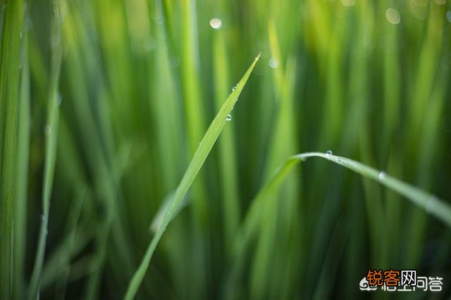 现在尼康的半画幅相机还有啥值得入手的？学生党小白一枚,预算在6000以内,喜拍景？