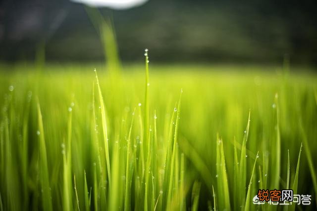 现在尼康的半画幅相机还有啥值得入手的？学生党小白一枚,预算在6000以内,喜拍景？